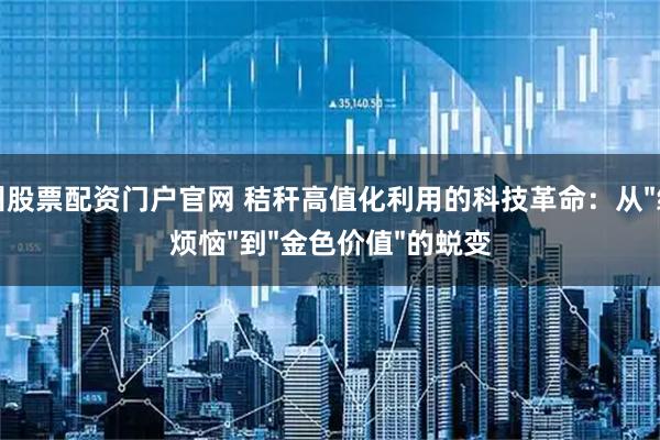 杭州股票配资门户官网 秸秆高值化利用的科技革命：从"绿色烦恼"到"金色价值"的蜕变